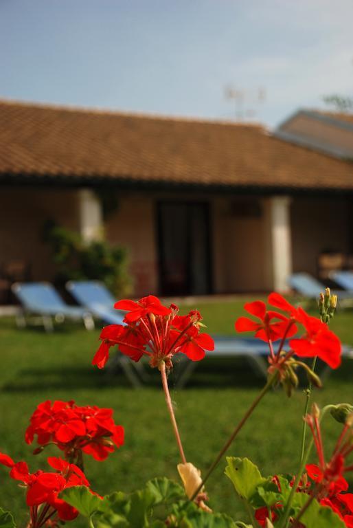 Lefkes Apartments Acharavi  Room photo